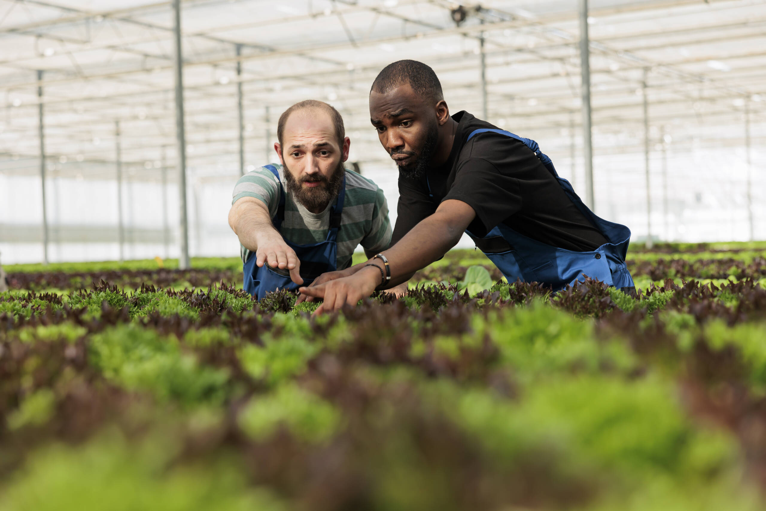 Farmer, Cooperative & Project Owner Onboarding
